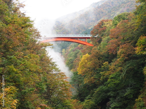 紅葉の渓谷に架かる赤いアーチ橋と湯けむり 小安峡