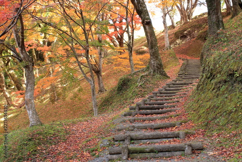秋の大分県にある、ゆうじゃく公園