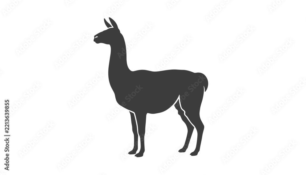 Fototapeta premium Minimalist silhouette illustration of a fluffy llama standing sideways on a plain white background showcasing clean lines and simple vector style.