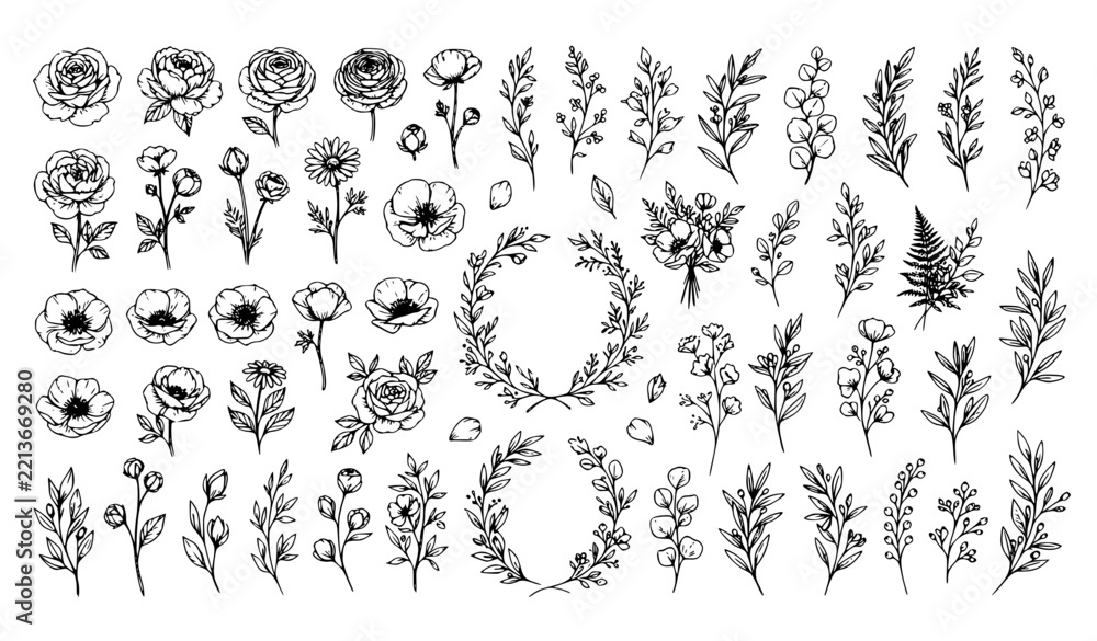 Fototapeta premium Hand Drawn Botanical Flowers and Leaves