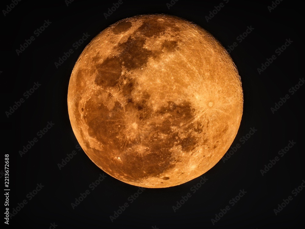Fototapeta premium Glowing golden harvest moon rising in the dark night sky, detailed lunar craters, astronomy and moonlight concept