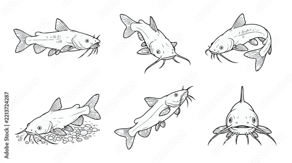 Obraz premium Rita Catfish Line Art Vector Icon Set for Freshwater River Fishing and Aquatic Design 