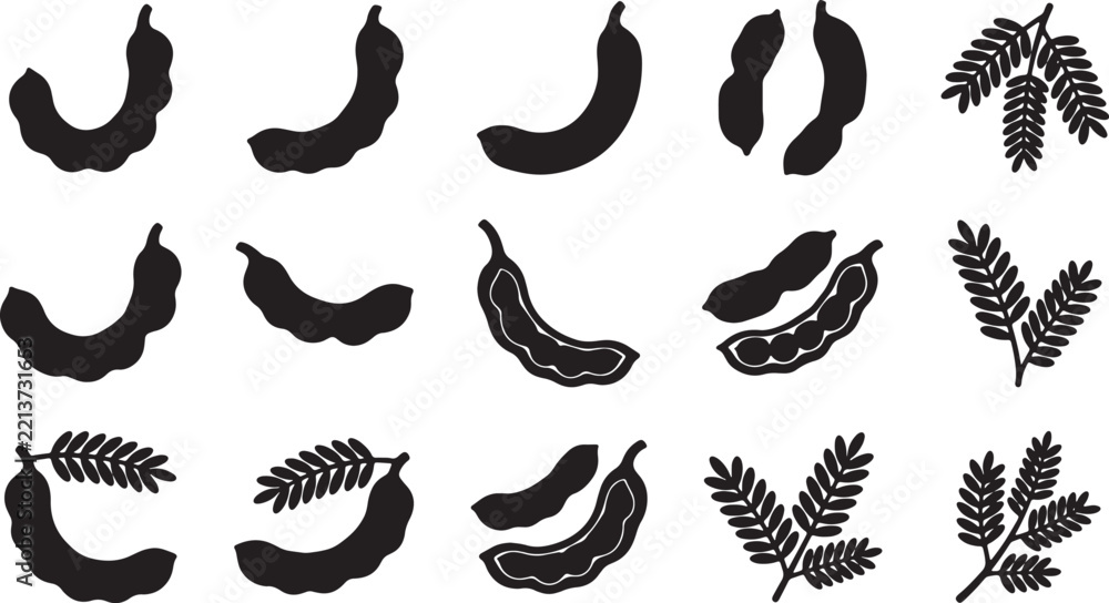 Obraz premium Set of black silhouette tamarind fruit pods and leaves icons on a white background