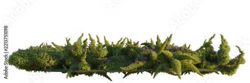 Sedum sarmentosum tree line, Forest Edge, Backdrop cutout, isolate transparent background, Detailed rendering of a lush green hedge row with varied foliage texture.