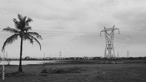 A monochrome landscape featuring a coconut palm beside a quiet water body, with transmission towers, power lines, distant buildings, and cloudy skies creating a stark atmosphere.