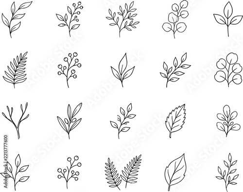 Fotografie Collection of twenty fine line botanical branches leaves fern fronds and small b