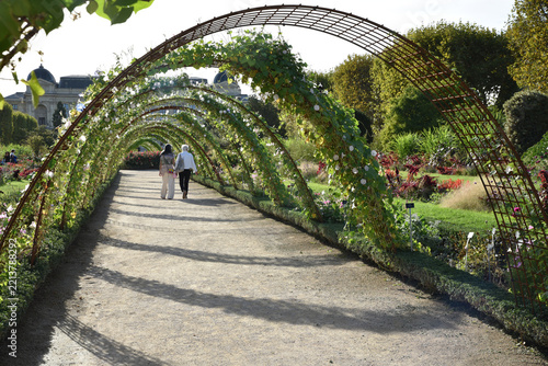 Flâner au jardin en été à Paris. France