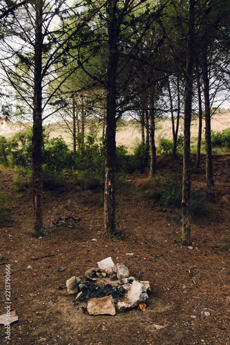 Abandoned campfire trash in polluted forest clearing
