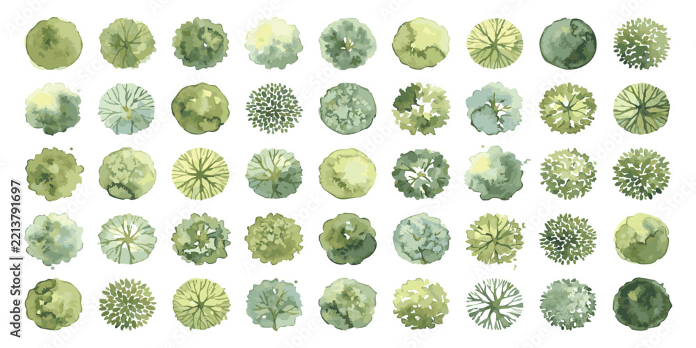Naklejka premium Set of forty different green tree icons for architectural landscape site plan design and garden planning projects