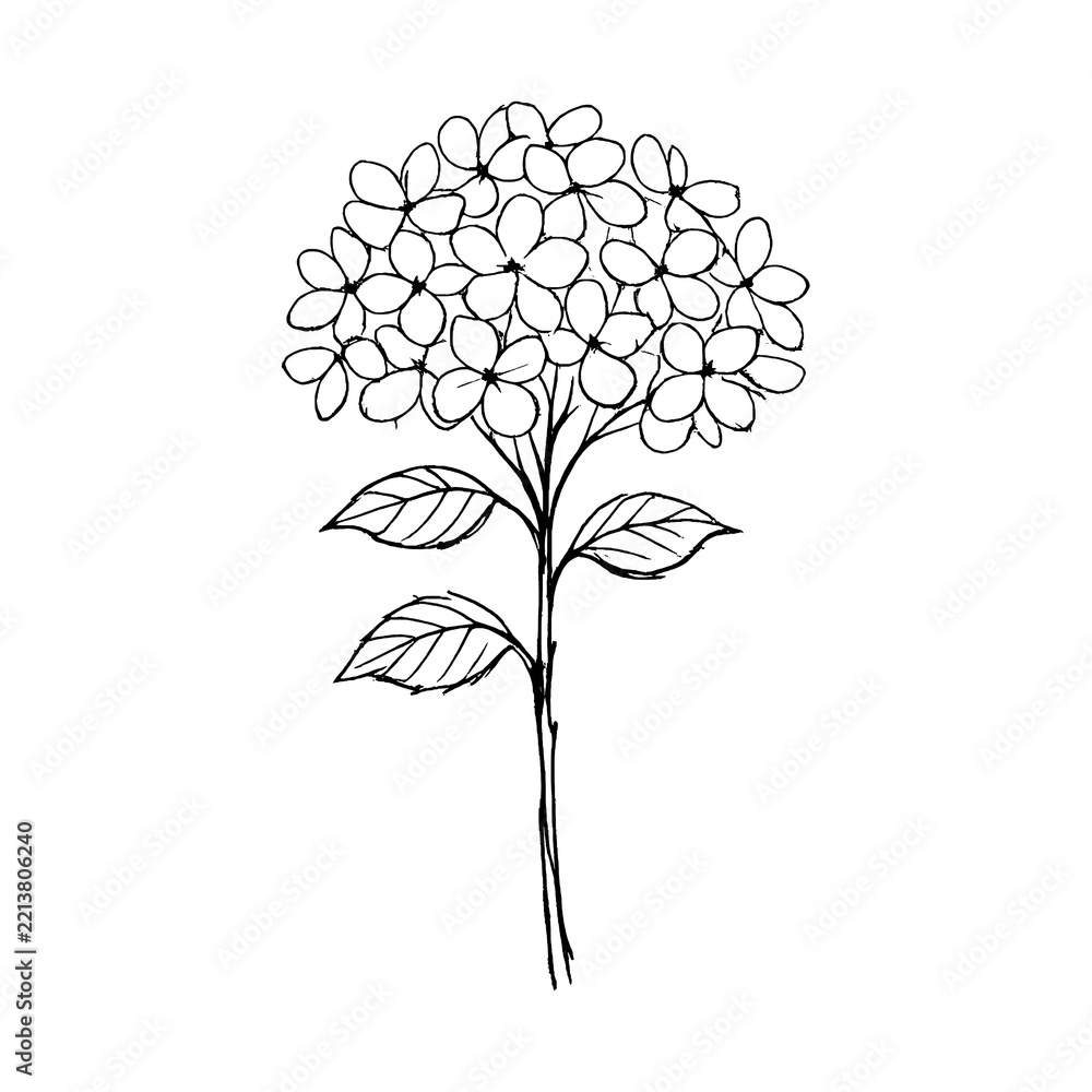 Naklejka premium PNG Minimalist floral line art