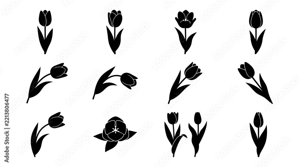 Fototapeta premium Black and white tulip vector illustration