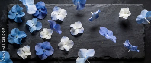 Panel kuchenny z motywem Blue and white hydrangea flower petals floating and scattered across a dark slate background, creating an elegant and moody composition for wellness or beauty branding.
