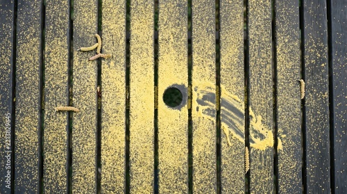 Yellow pollen dust covering slatted wooden table