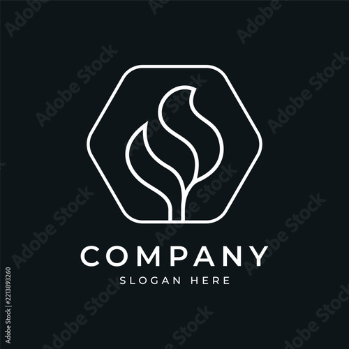 Minimalist Hexagon Leaf Logo Design