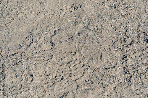 Footprints impressed in dry dirt