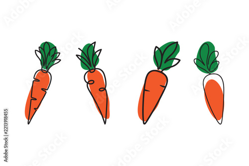 Carrots illustration in vector line art drawing style