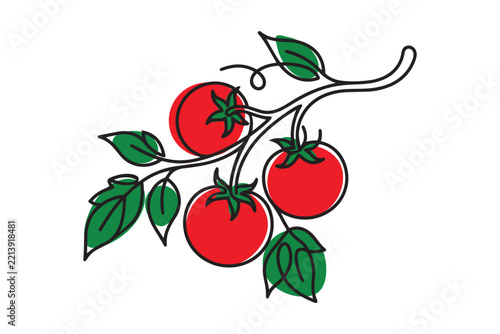 Tomatoes illustration in vector line art drawing style
