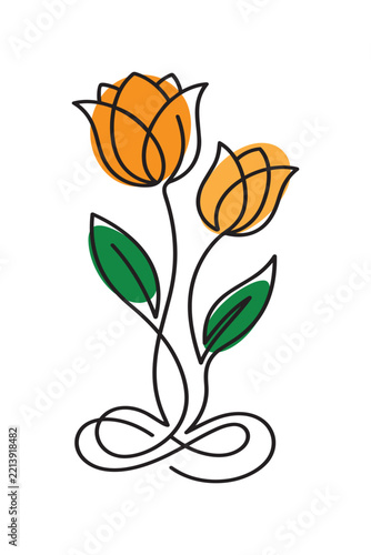 Orange color tulips illustration in vector line art drawing style 