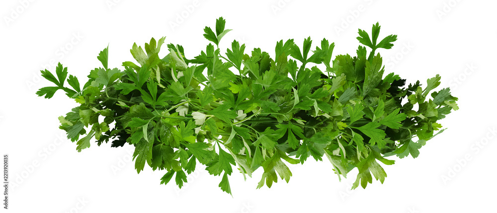 Fototapeta premium Many green parsley border isolated on transparent background. Leaf celery cut out PNG. Herb bunch picture. Food image. Element for spice, dry seasoning packaging design, kitchen print, banner, recipe