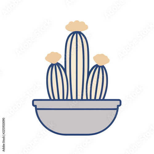 Potted cactus with light brown blooms