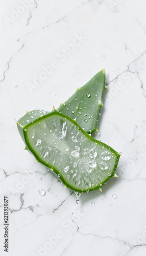 Fresh aloe vera leaf sliced open showing crystalline gel pulp, natural skincare ritual advertising backdrop.
