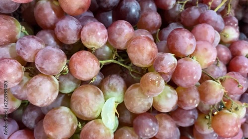 bunch of grapes on the vine