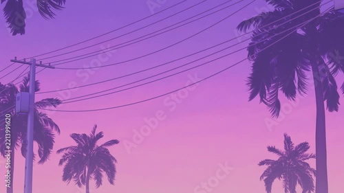 Miami video game Inspired Palm Tree and Power Line with neon pink purple Sky | 3D loop animation
