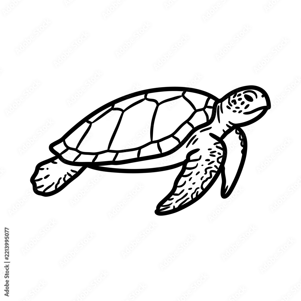 Fototapeta premium Hand drawn illustration of a swimming sea turtle isolated on white.