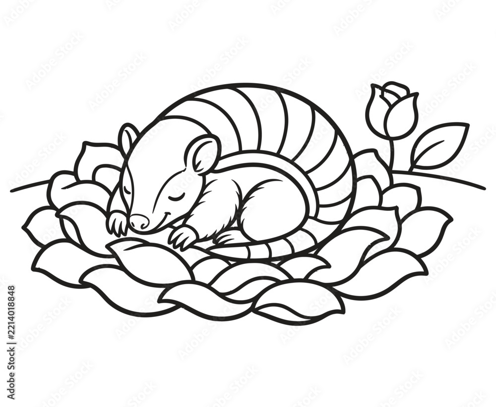 Fototapeta premium Cute sleeping armadillo drawing for coloring page.