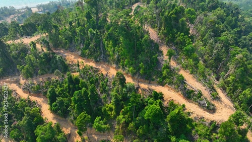High-angle drone shot of forest clearing with scattered trees and access roads, illustrating deforestation, land exploitation, and the growing environmental challenges affecting biodiversity. 4k.
