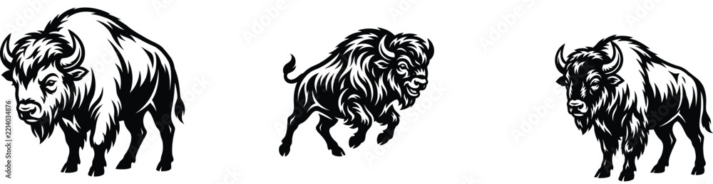 Obraz premium Three different illustrations of bison standing and running in a classic black and white style