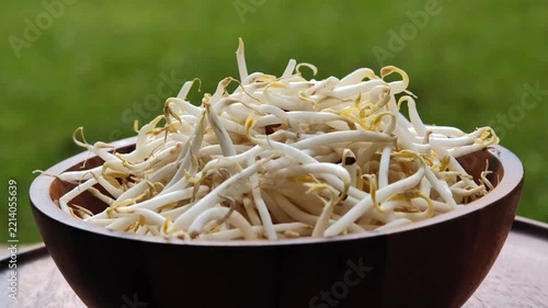 Fresh bean sprouts arranged in a bowl	