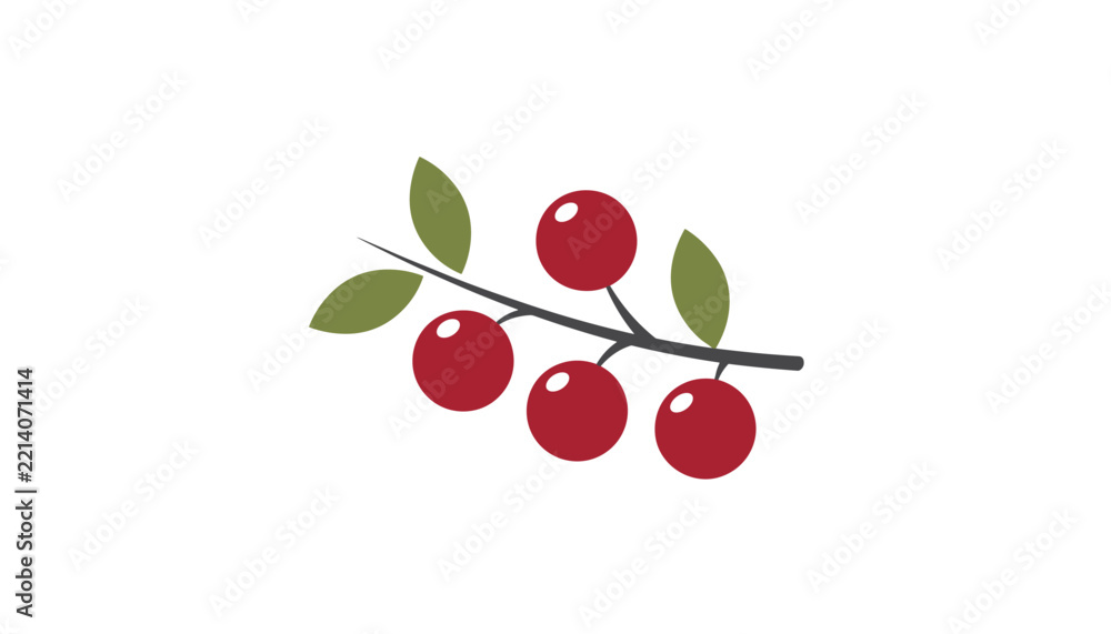 Obraz premium Beautiful illustration of red cranberries or redcurrants on a small branch with green leaves, isolated on white.