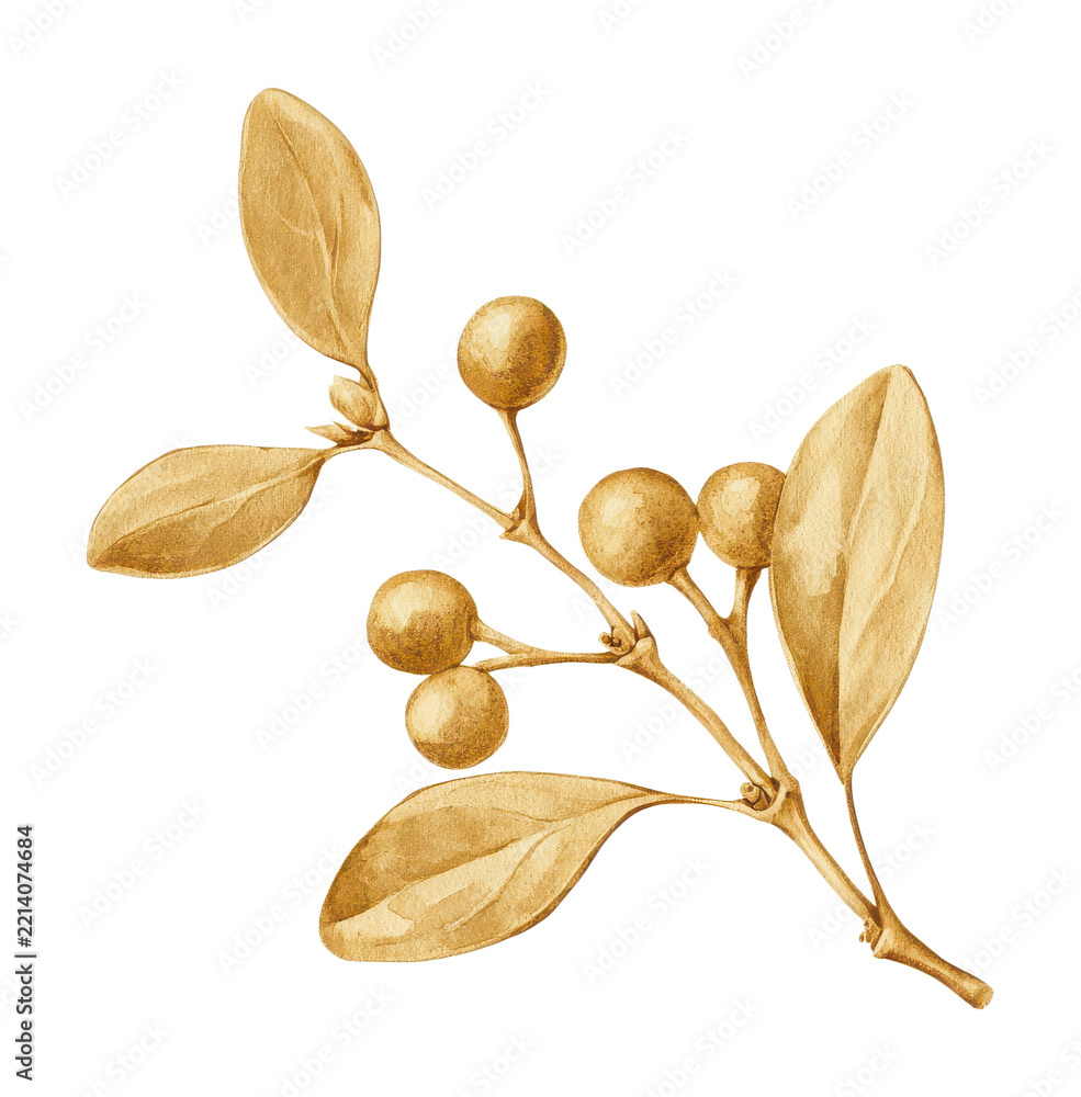 Fototapeta premium PNG Golden botanical branch with leaves and berries, vintage illustration