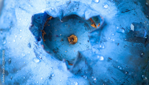 Modern food styling for blueberry covered with clear water droplets with copy space