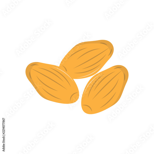 Ramadan Almond Element in a Flat Cartoon Design. Vector Illustration