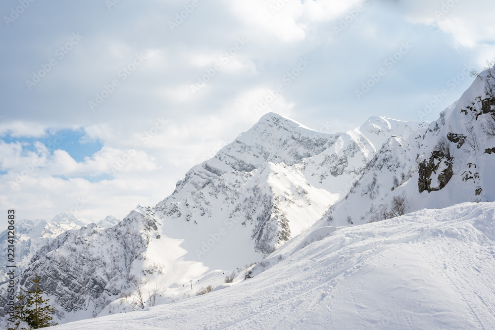 Fototapeta premium Winter mountain landscape with snow-covered pine forest and distant peaks