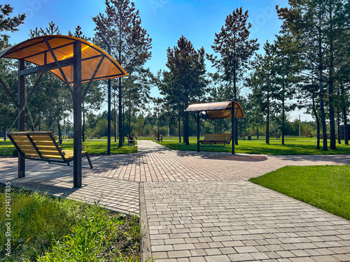 Paved path through the park. Peaceful pathway.