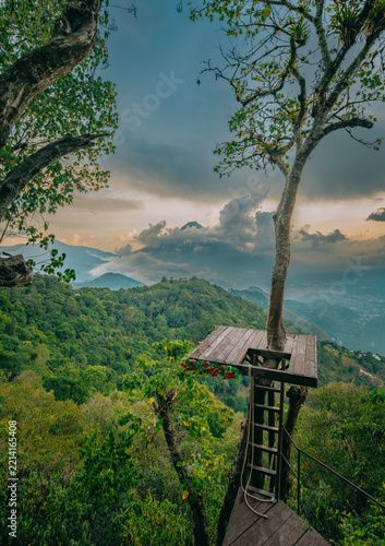 Obraz na plátně Beautiful view from the Altamira Oriole tree platform