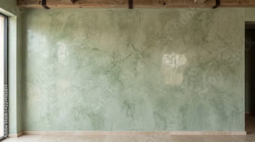 Polished Venetian Plaster Wall Texture in Sage Green