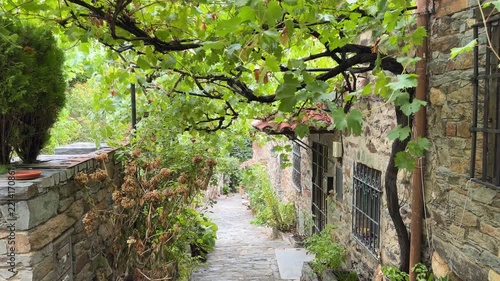 Patones stone alley in patones de arriba covered with vine leaves