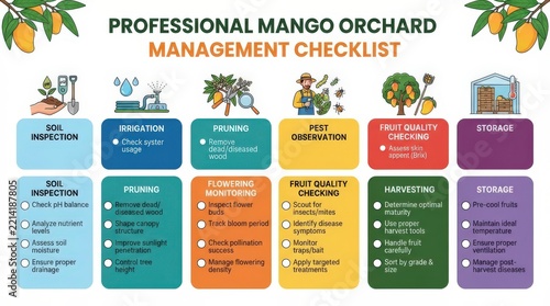 Professional mango orchard management checklist infographic