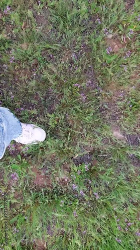 POV shot of person walking in white sneakers through green grass with small purple wildflowers