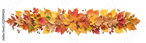 Autumn leaves border decoration with vibrant colors and berries.