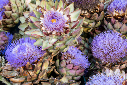 Artischocken (Cynara cardunculus), Blüte und Frucht, Bauernmarkt, Nordrhein-Westfalen, Deutschland