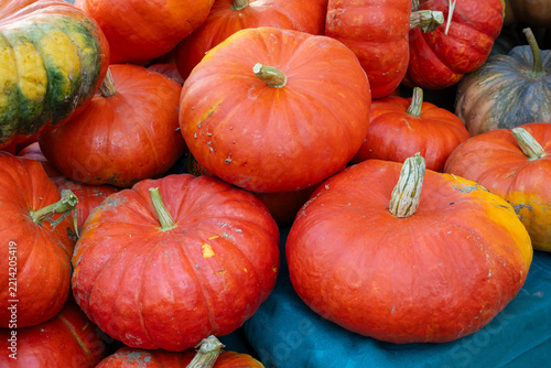 Hokkaidokürbisse, Kürbisse, Frucht, Bauernmarkt, Nordrhein-Westfalen, Deutschland