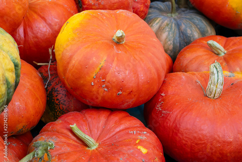 Hokkaidokürbisse, Kürbisse, Frucht, Bauernmarkt, Nordrhein-Westfalen, Deutschland