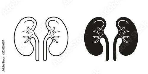 Renal system organ illustration set with detailed line and solid icons for medical charts.