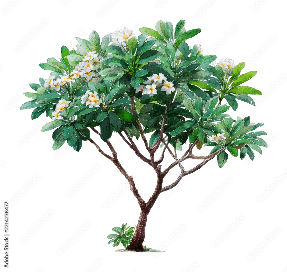 Naklejka premium PNG Vibrant watercolor plumeria tree illustration.