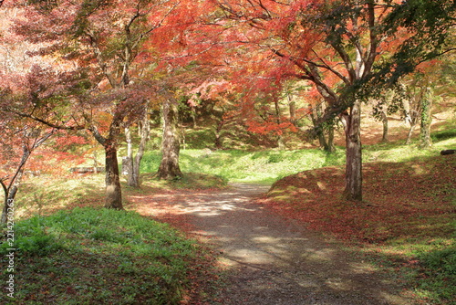秋の公園
